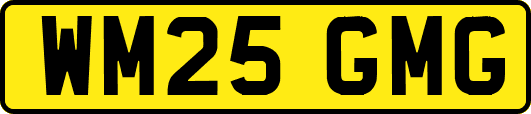 WM25GMG