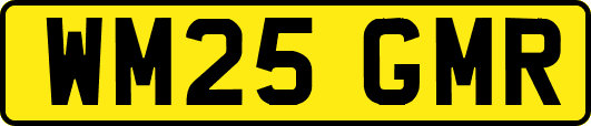 WM25GMR
