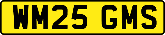 WM25GMS