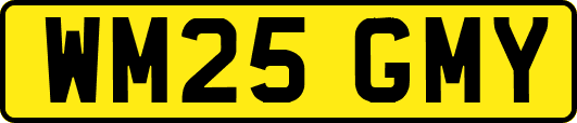 WM25GMY