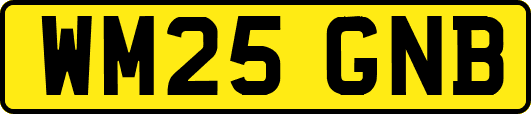 WM25GNB