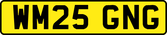 WM25GNG