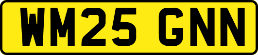 WM25GNN