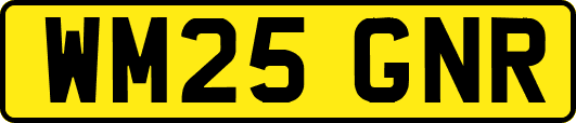 WM25GNR