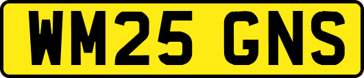 WM25GNS