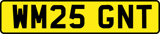 WM25GNT