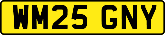 WM25GNY
