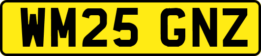 WM25GNZ