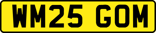 WM25GOM