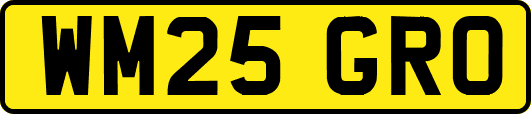 WM25GRO