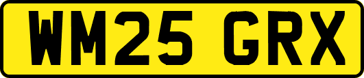 WM25GRX