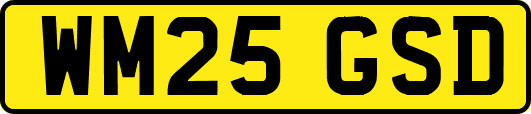 WM25GSD
