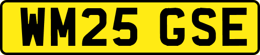 WM25GSE
