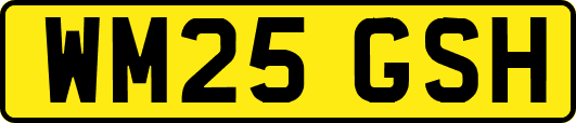 WM25GSH
