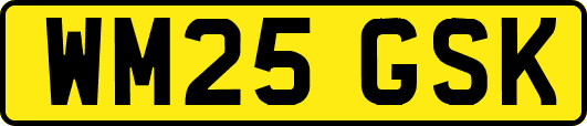 WM25GSK