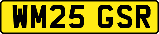 WM25GSR