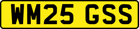 WM25GSS