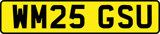 WM25GSU