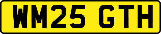 WM25GTH