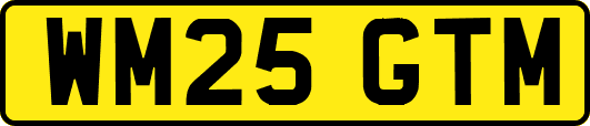 WM25GTM
