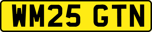 WM25GTN