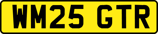 WM25GTR