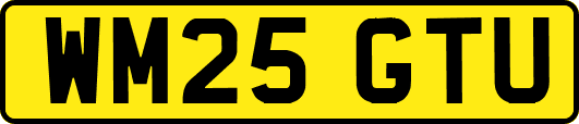 WM25GTU