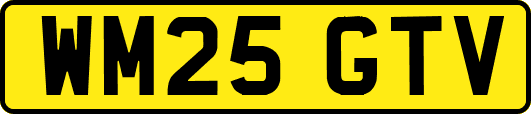 WM25GTV