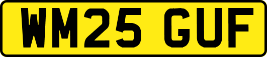 WM25GUF