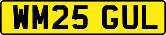 WM25GUL