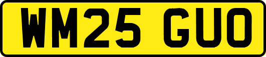 WM25GUO