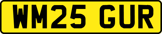 WM25GUR