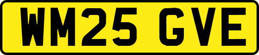 WM25GVE