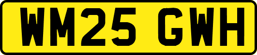 WM25GWH
