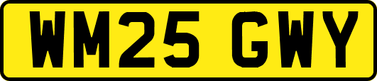 WM25GWY