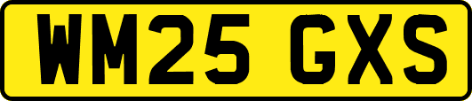 WM25GXS