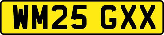 WM25GXX