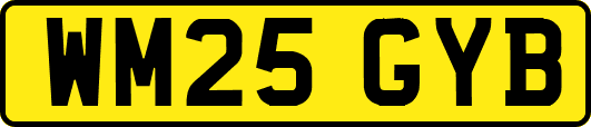 WM25GYB