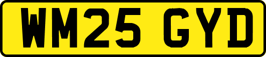 WM25GYD