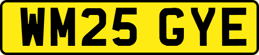 WM25GYE
