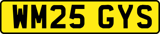 WM25GYS