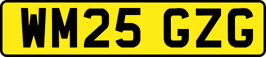 WM25GZG