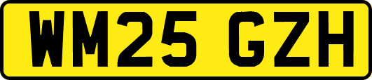 WM25GZH