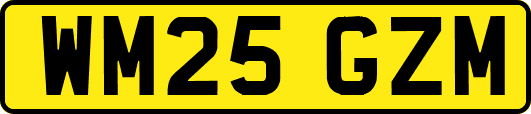 WM25GZM