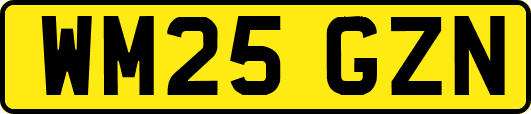 WM25GZN