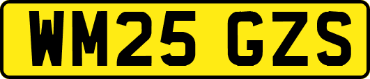 WM25GZS