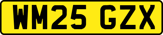 WM25GZX