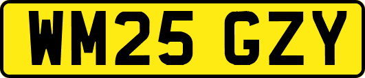 WM25GZY