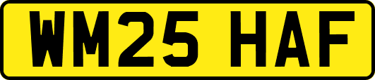 WM25HAF