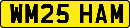 WM25HAM